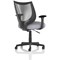 Camden Mesh Back Chair, Fixed Height Arms, Quest Shell