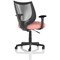 Camden Mesh Back Chair, Fixed Height Arms, Quest Shrimp