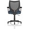 Camden Mesh Back Chair, Fixed Height Arms, Quest Whelk