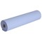 2Work 2-Ply Hygiene Roll, 10 Inch, Blue, Pack of 24