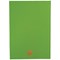 Academic Diary Day Per Page A4 Lime Green 2026-2027