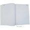 5 Star Desk Diary 2 Page Per Day A4 Sage Green 2027