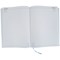 5 Star Desk Diary 2 Page Per Day A4 Soft Blue 2027