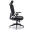 Arista Lexi High Back Chair, Headrest, Black