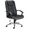 Jemini Tiber Leather Chair