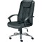 Jemini Tiber Leather Chair