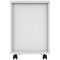 Astin 2 Drawer Mobile Pedestal, White