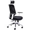 Arista Hanley High Back Chair, Black & White