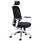 Arista Stealth High Back Chair, Black & White