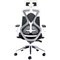 Arista Hanley High Back Chair, Black & White