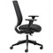 Cappela Nuevo Mesh Chair, Height Adjustable Arms, Black Cappela Nuevo Mesh Chair, Height Adjustable Arms, Black
