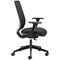 Cappela Nuevo Mesh Chair, Height Adjustable Arms, Black