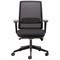 Cappela Nuevo Mesh Chair, Height Adjustable Arms, Black