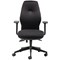 Cappela Leo Deluxe High Back Posture Chair, Black