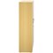 Avior Executive Medium Wooden Cupboard, 2 Shelves, 1560mm High, Oak