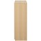Serrion Premium Medium Wooden Cupboard, 2 Shelves, 1200mm High, Oak