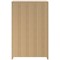 Serrion Premium Medium Wooden Cupboard, 2 Shelves, 1200mm High, Oak