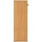 Astin Medium Wooden Cupboard, 2 Shelves, 1204mm High, Beech