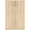 Astin Medium Wooden Cupboard, 2 Shelves, 1204mm High, Oak