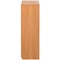 Serrion Premium Medium Cupboard, 2 Shelves, 1200mm High, Beech