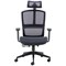 Arista Lena High Back Executive Mesh Chair, Black