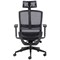 Arista Lena High Back Executive Mesh Chair, Black