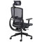 Arista Lena High Back Executive Mesh Chair, Black