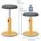 Leitz Ergo Cosy Active Sit/Stand Stool, Warm Yellow