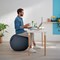 Leitz Ergo Cosy Active Sitting Ball, Velvet Grey Leitz Ergo Cosy Active Sitting Ball, Velvet Grey