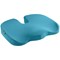 Leitz Ergo Cosy Seat Cushion 355x455x75mm Calm Blue