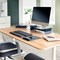 Leitz Ergo Monitor Stand, Adjustable Height, Dark Grey