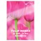 Leitz iLAM Prem A4 Laminating Pouches, 125 Microns, Glossy, Pack of 100