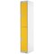 Two Compartment Locker, 300x300x1800mm, Yellow Door