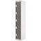 Five Compartment Locker, 300x300x1800mm, Dark Grey Door