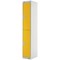 Two Compartment Locker, 300x450x1800mm, Yellow Door