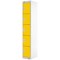 Five Compartment Locker, 300x450x1800mm, Yellow Door