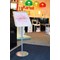 Twinco Snapframe Display, A3, Silver