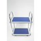 Barton 2 Shelf Trolley, Steel Frame, Capacity 120kg, Silver and Blue