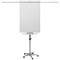 Nobo Piranha Mobile Flipchart and Drywipe Easel Blue/Silver