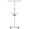 Nobo Move Meet Mobile Magnetic Flipchart Easel, 680x1040mm