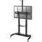 Neomounts Portable TV Floor Stand, Suitable for 60-100" TVs, Adjustable Height and Tilt, Black