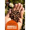 Nescafe Azera Americano Instant Coffee, 90g