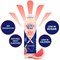 Buxton Peak Immuno Grapefruit +Ginseng Water 400ml Pack of 12