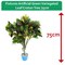 Fixtures Artificial Green Variegated Leaf Croton Tree, 75cm
