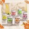 Whole Earth Organic Sparkling Elderflower, 24x330ml Cans