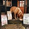 Laughing Dog Naturally 5 Chicken Complete, 12kg