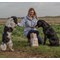 Laughing Dog Naturally 5 Lamb Complete, 12kg