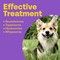Bob Martin Clear 3-in-1 Wormer for Dogs, (2 Tablets) - For Small Dogs and Puppies