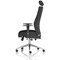 Onyx Ergo Posture Chair, Headrest, Height Adjustable Arms, Black
