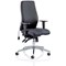 Onyx Ergo Posture Chair, Height Adjustable Arms, Black - Delivered Built